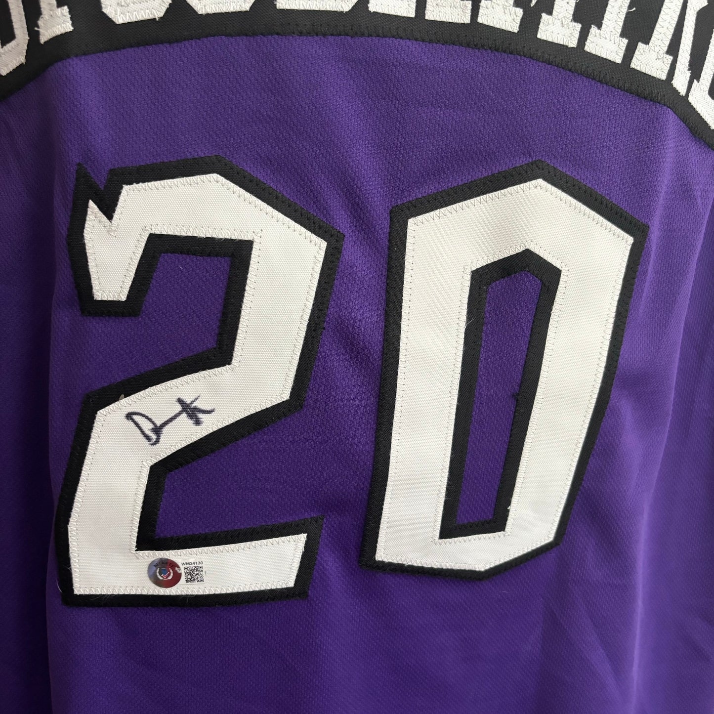 Damon Stoudamier Signed Toronto Raptors Jersey (Purple)